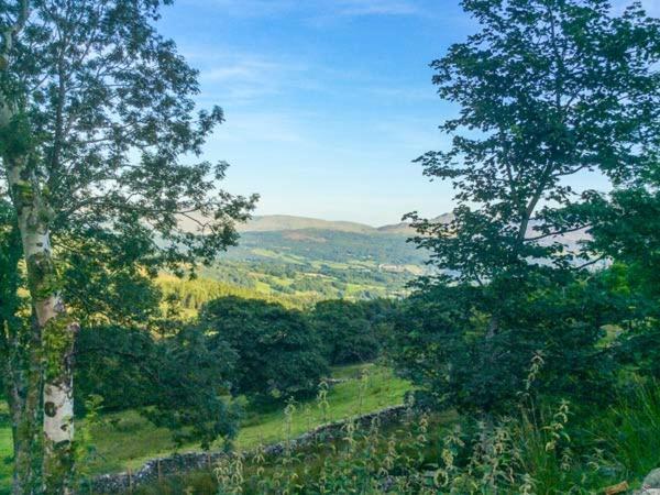 Tyn Llwyn Villa Dolgellau Ngoại thất bức ảnh
